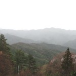 泉南の飯盛山で遊んできました