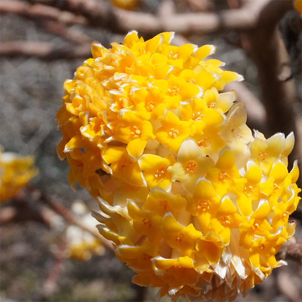 【施術メモ＆お客様の声】「両親を見て育ったせいでそんな自分が幸せになれない」という信じ込みを手放そう